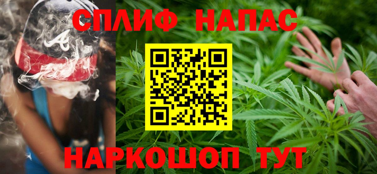 Шишки марихуана план  Марихуана план  Керчь  Вход с VPN 